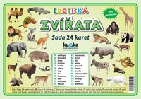 Sada 24 karet - zvířata exotická A7 (10x7 cm)