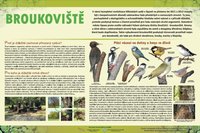 Nástěnná tabule Broukoviště - ptáci