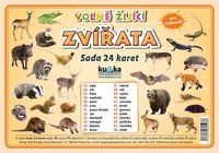 Sada 24 karet - zvířata volně žijící A7 (10x7 cm)